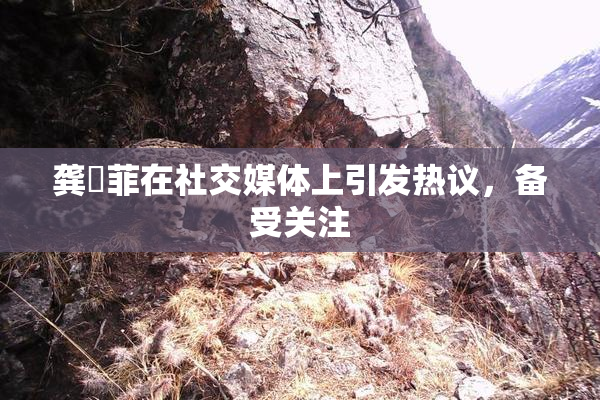 龚玥菲在社交媒体上引发热议，备受关注