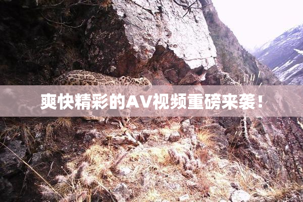 爽快精彩的AV视频重磅来袭！