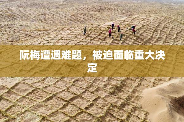 阮梅遭遇难题，被迫面临重大决定
