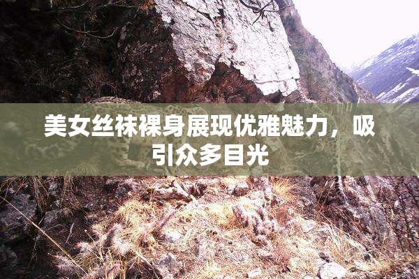 美女丝袜裸身展现优雅魅力，吸引众多目光
