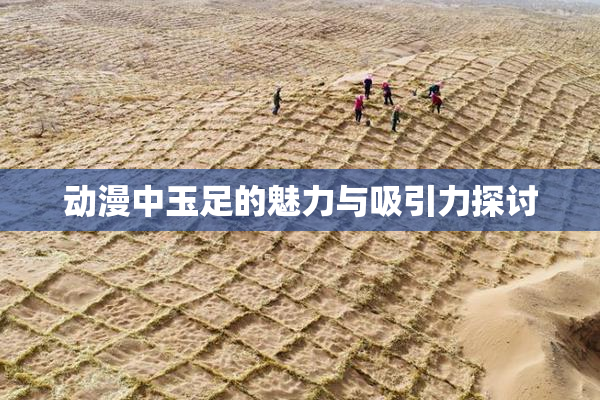 动漫中玉足的魅力与吸引力探讨
