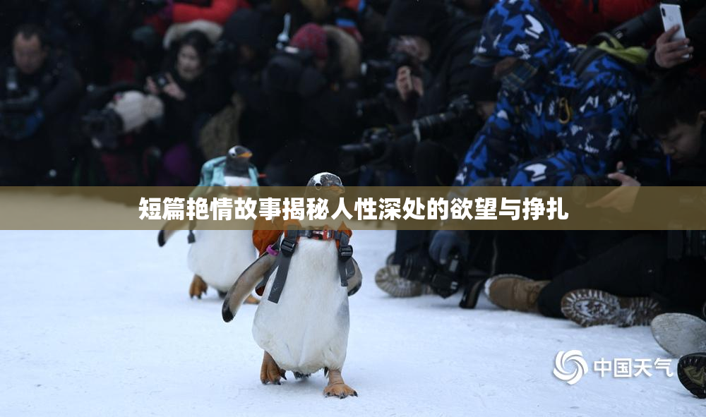 短篇艳情故事揭秘人性深处的欲望与挣扎