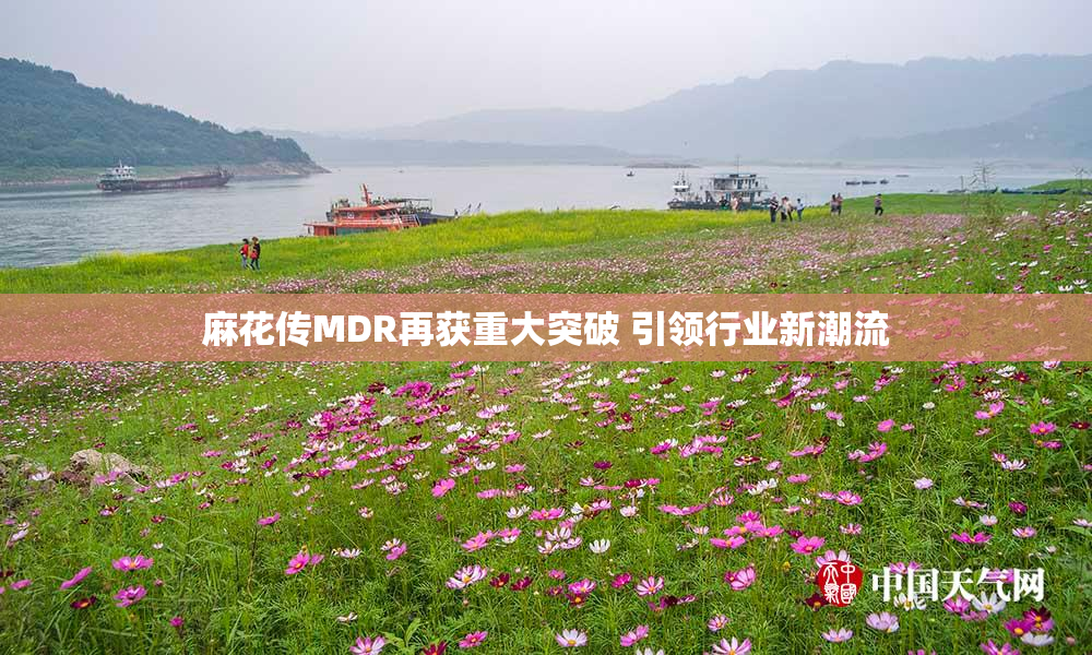 麻花传MDR再获重大突破 引领行业新潮流