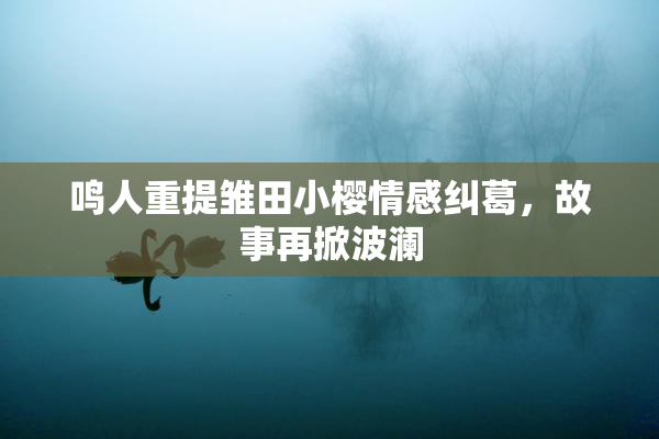 鸣人重提雏田小樱情感纠葛，故事再掀波澜
