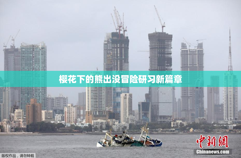 樱花下的熊出没冒险研习新篇章