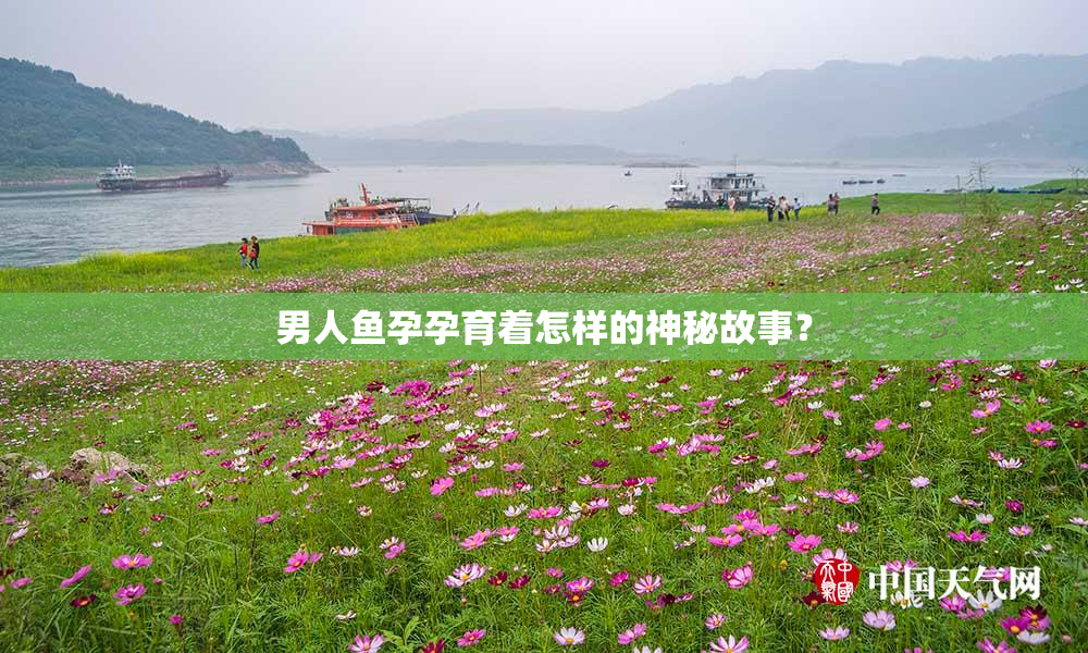 男人鱼孕孕育着怎样的神秘故事？