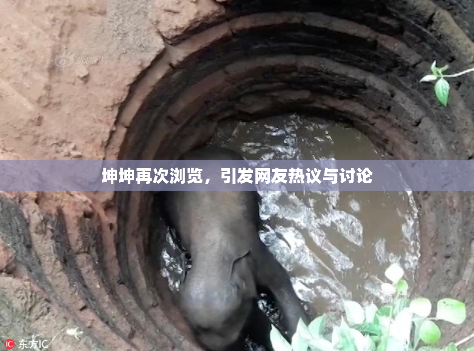坤坤再次浏览，引发网友热议与讨论