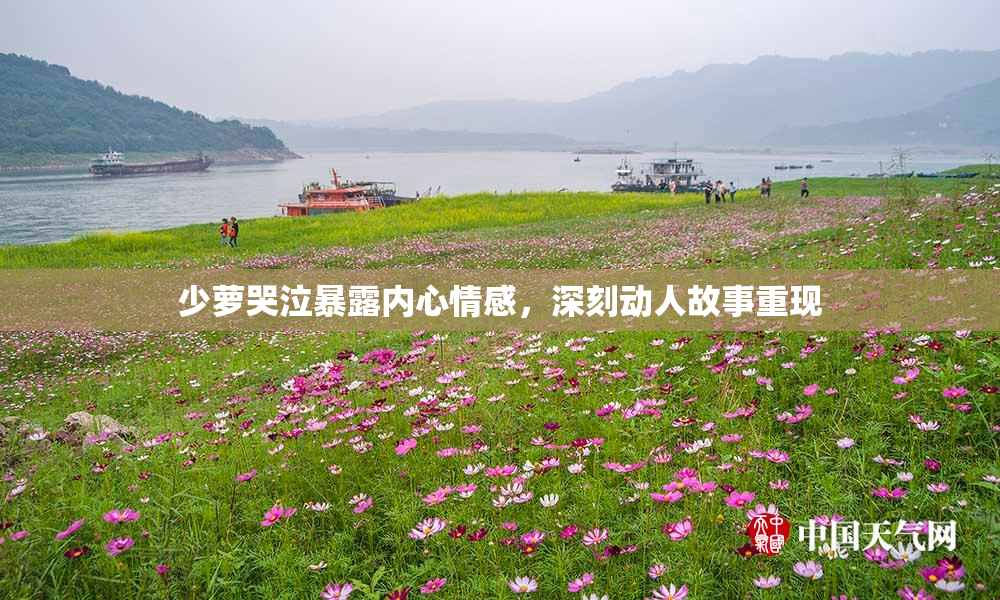 少萝哭泣暴露内心情感，深刻动人故事重现