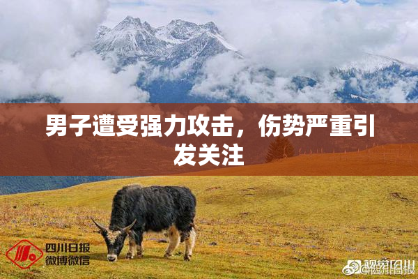 男子遭受强力攻击，伤势严重引发关注
