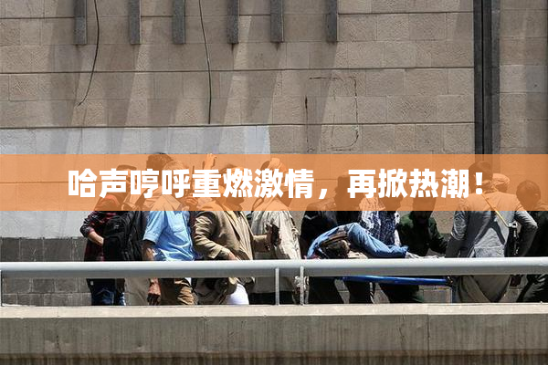 哈声哼呼重燃激情，再掀热潮！