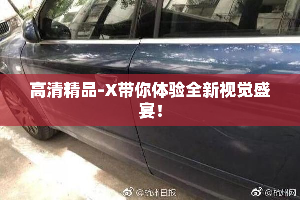 高清精品-X带你体验全新视觉盛宴！