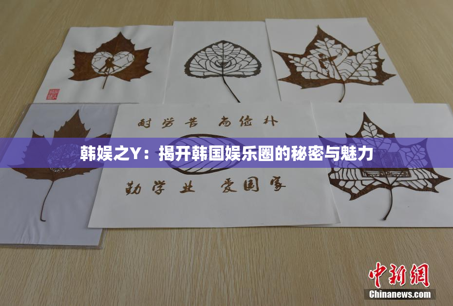 韩娱之Y：揭开韩国娱乐圈的秘密与魅力