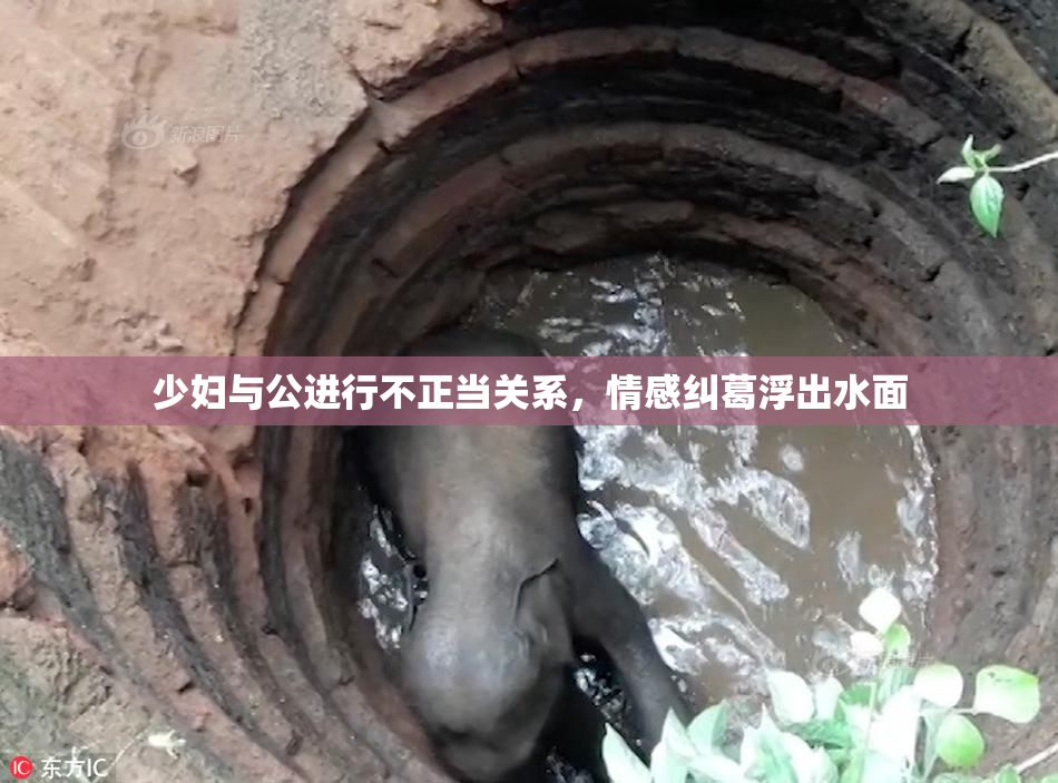 少妇与公进行不正当关系，情感纠葛浮出水面
