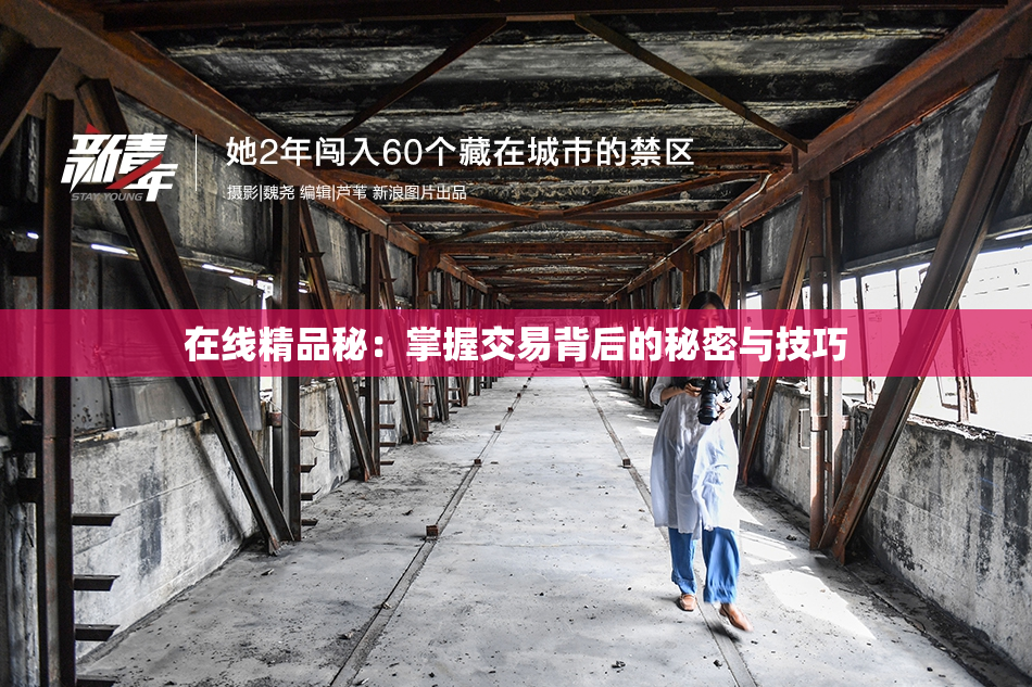 在线精品秘：掌握交易背后的秘密与技巧