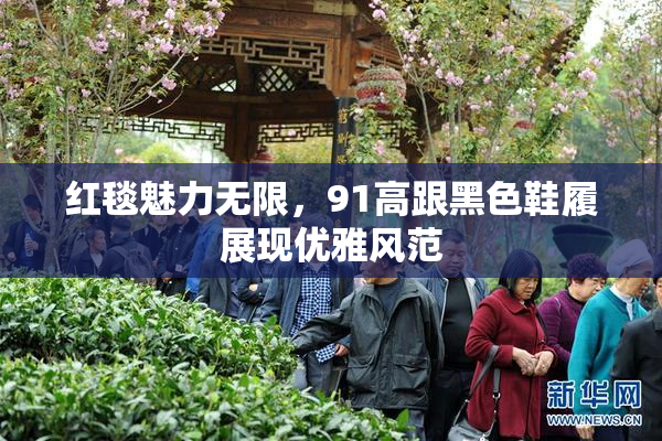 红毯魅力无限，91高跟黑色鞋履展现优雅风范