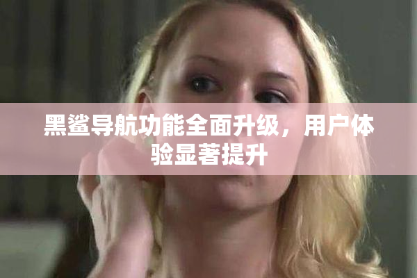 黑鲨导航功能全面升级，用户体验显著提升