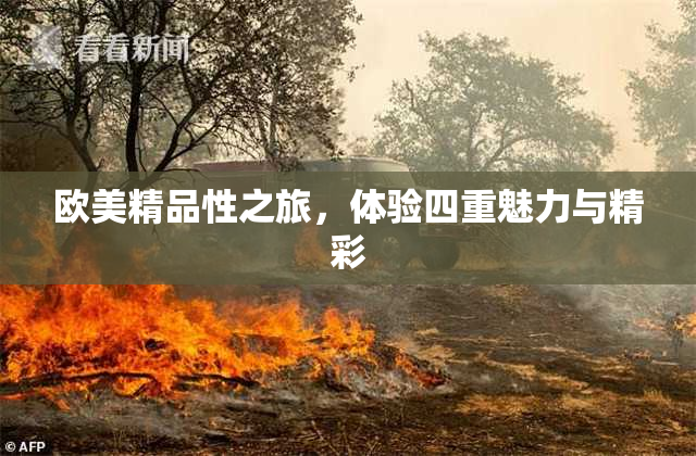 欧美精品性之旅，体验四重魅力与精彩