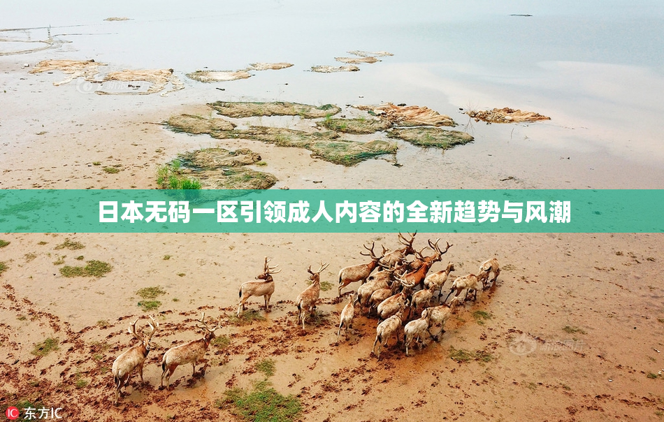 日本无码一区引领成人内容的全新趋势与风潮