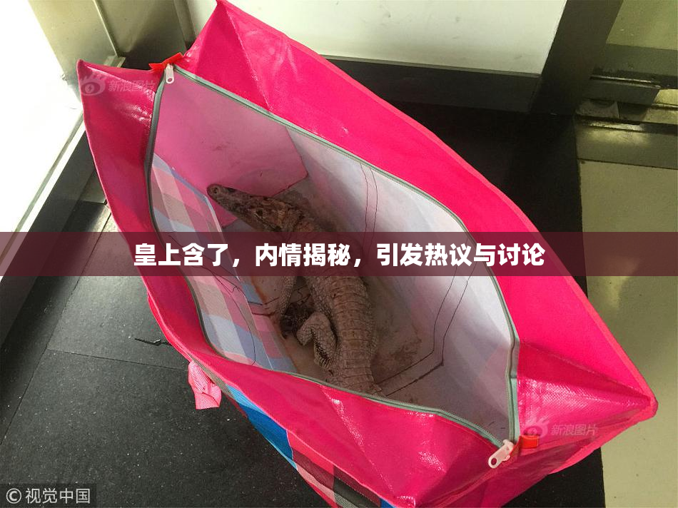 皇上含了，内情揭秘，引发热议与讨论
