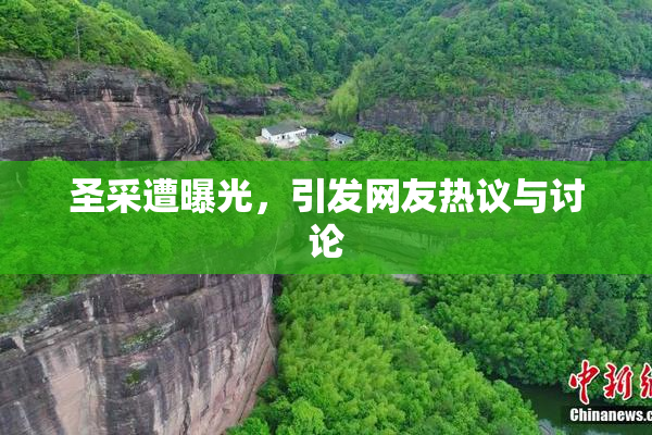 圣采遭曝光，引发网友热议与讨论