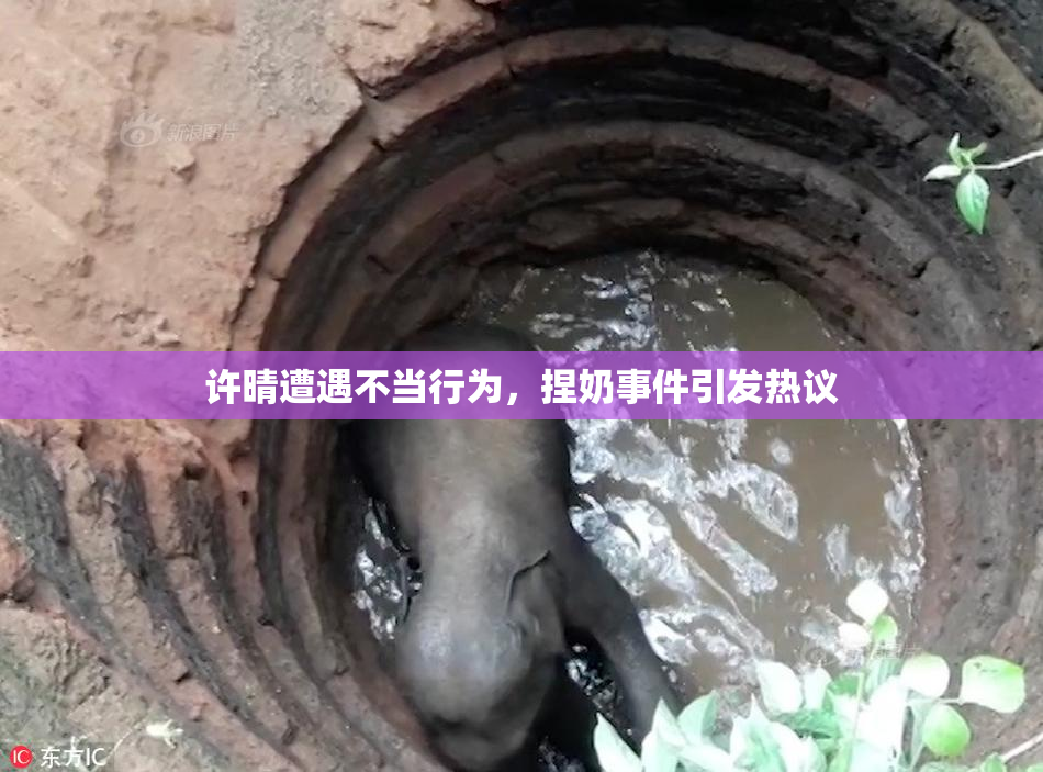 许晴遭遇不当行为，捏奶事件引发热议
