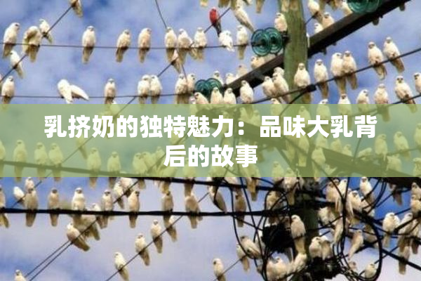 乳挤奶的独特魅力：品味大乳背后的故事