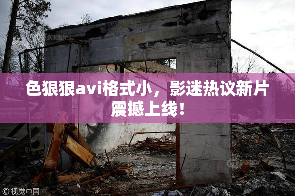 色狠狠avi格式小，影迷热议新片震撼上线！
