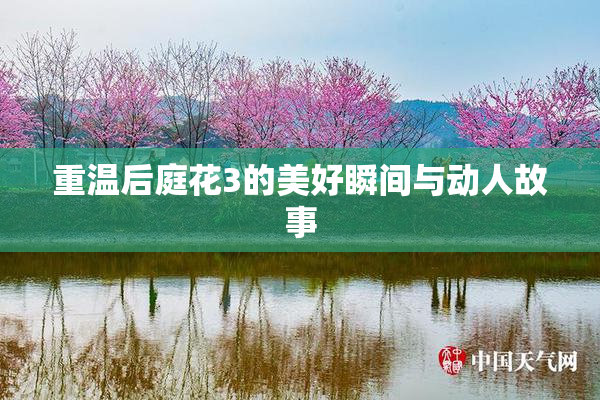 重温后庭花3的美好瞬间与动人故事