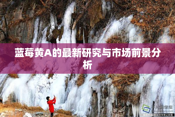 蓝莓黄A的最新研究与市场前景分析