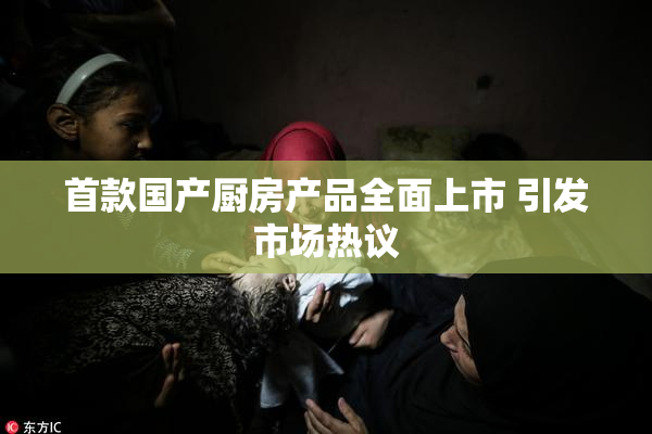 首款国产厨房产品全面上市 引发市场热议