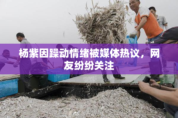 杨紫因躁动情绪被媒体热议，网友纷纷关注