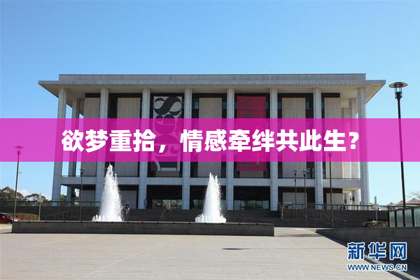 欲梦重拾，情感牵绊共此生？