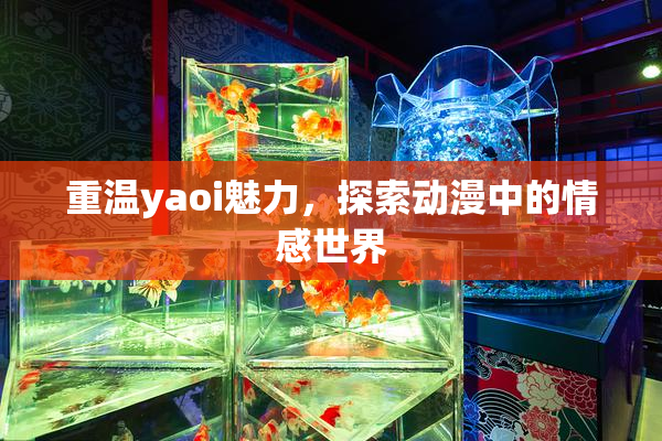重温yaoi魅力，探索动漫中的情感世界