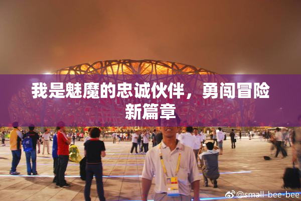 我是魅魔的忠诚伙伴，勇闯冒险新篇章