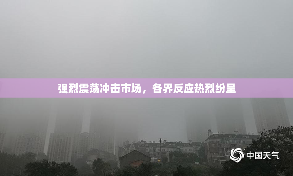 强烈震荡冲击市场，各界反应热烈纷呈