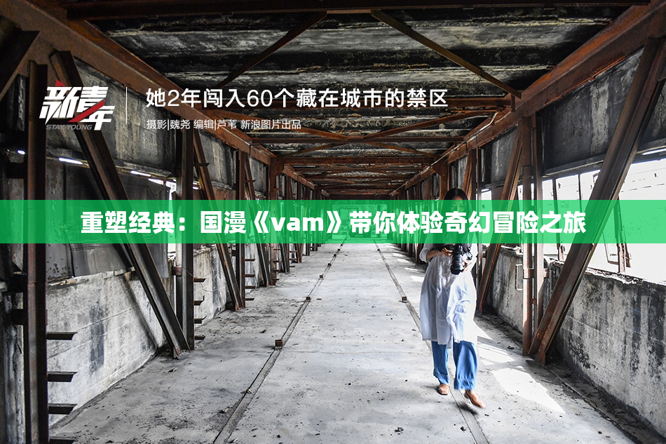 重塑经典：国漫《vam》带你体验奇幻冒险之旅