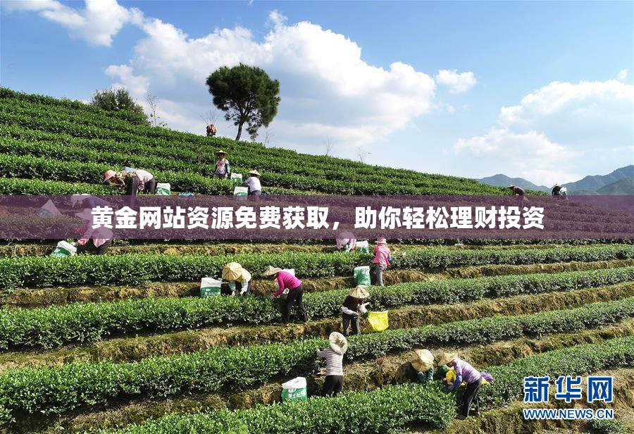 黄金网站资源免费获取，助你轻松理财投资