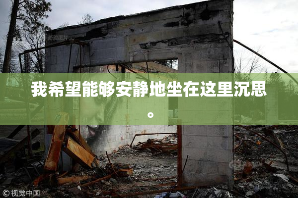 我希望能够安静地坐在这里沉思。
