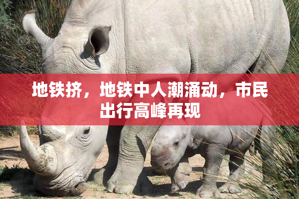 地铁挤，地铁中人潮涌动，市民出行高峰再现