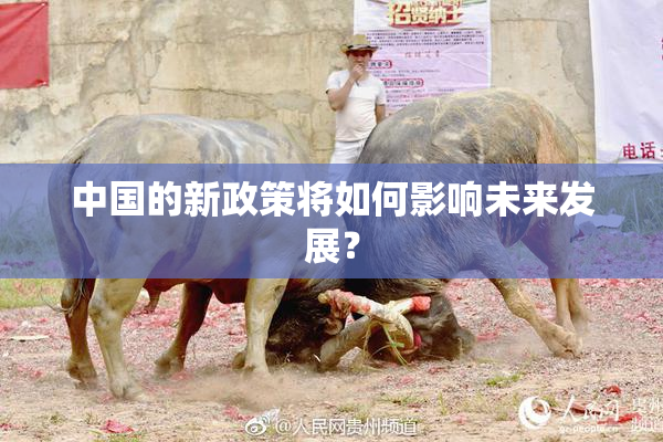 中国的新政策将如何影响未来发展？