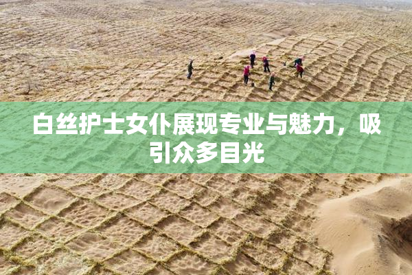 白丝护士女仆展现专业与魅力，吸引众多目光