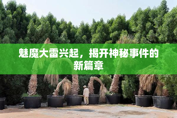 魅魔大雷兴起，揭开神秘事件的新篇章