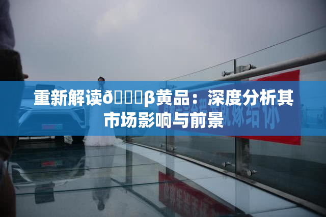 重新解读🔞β黄品：深度分析其市场影响与前景