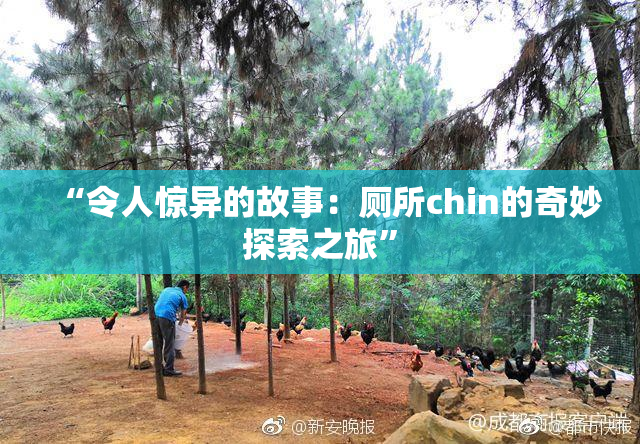 “令人惊异的故事：厕所chin的奇妙探索之旅”