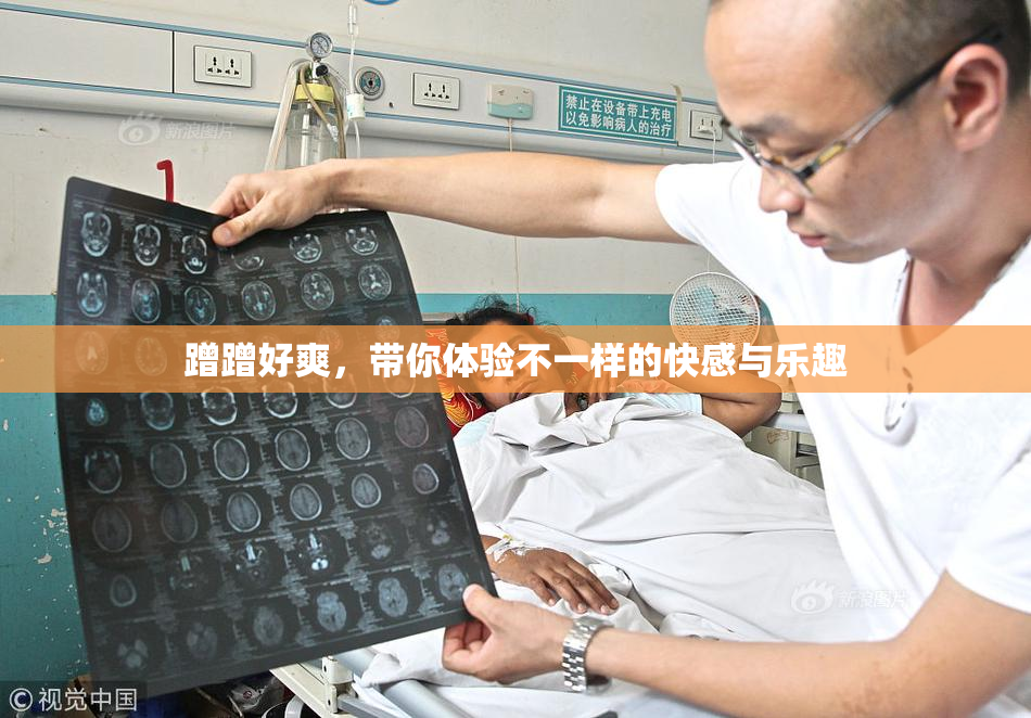 蹭蹭好爽，带你体验不一样的快感与乐趣