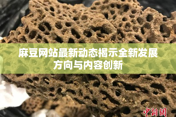 麻豆网站最新动态揭示全新发展方向与内容创新