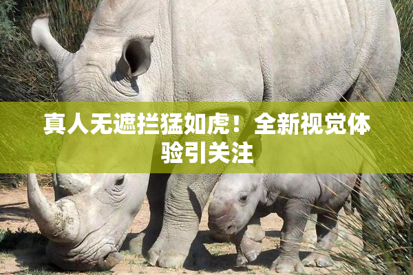真人无遮拦猛如虎！全新视觉体验引关注