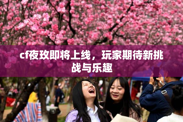 cf夜玫即将上线，玩家期待新挑战与乐趣