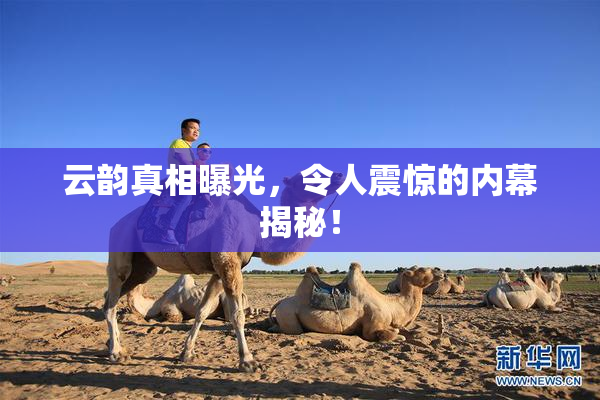 云韵真相曝光，令人震惊的内幕揭秘！
