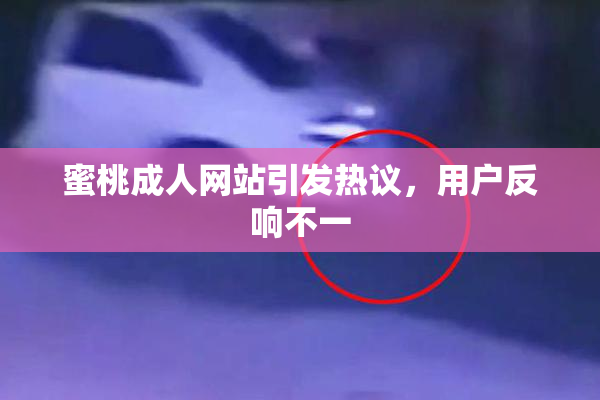 蜜桃成人网站引发热议，用户反响不一